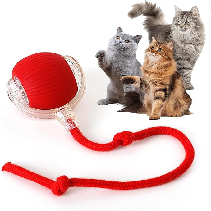 🐾 The Smart Cat Toy That Moves Like Real Prey — Keep Your Cat Active, Happy & Healthy!