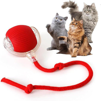 🐾 The Smart Cat Toy That Moves Like Real Prey — Keep Your Cat Active, Happy & Healthy!