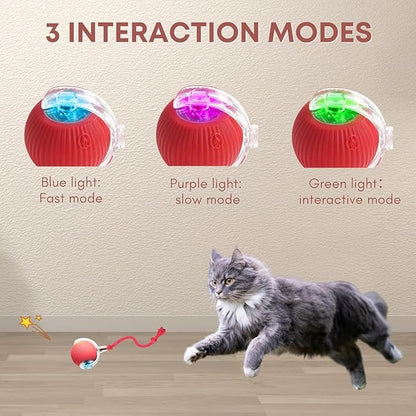🐾 The Smart Cat Toy That Moves Like Real Prey — Keep Your Cat Active, Happy & Healthy!