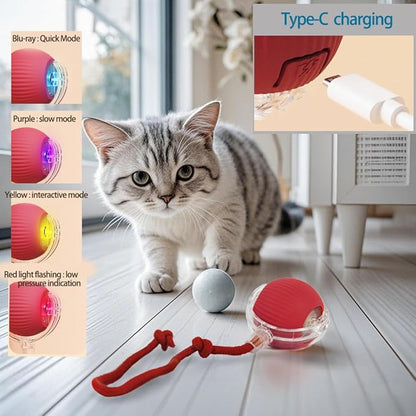 🐾 The Smart Cat Toy That Moves Like Real Prey — Keep Your Cat Active, Happy & Healthy!