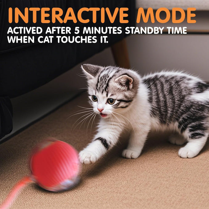 🐾 The Smart Cat Toy That Moves Like Real Prey — Keep Your Cat Active, Happy & Healthy!