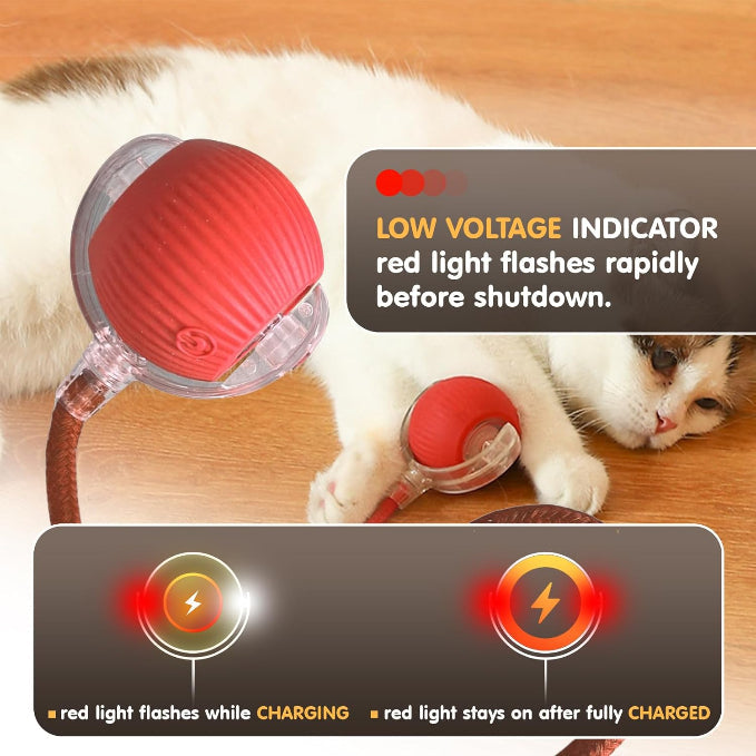 🐾 The Smart Cat Toy That Moves Like Real Prey — Keep Your Cat Active, Happy & Healthy!