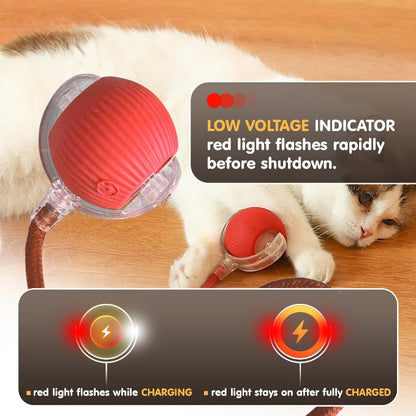 🐾 The Smart Cat Toy That Moves Like Real Prey — Keep Your Cat Active, Happy & Healthy!
