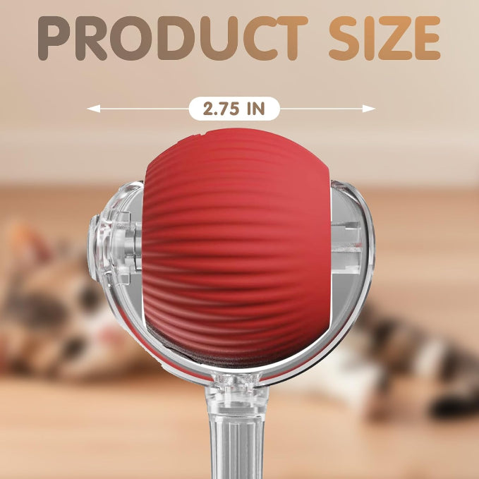 🐾 The Smart Cat Toy That Moves Like Real Prey — Keep Your Cat Active, Happy & Healthy!