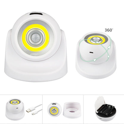 The supre-clever ball of take anywhere light